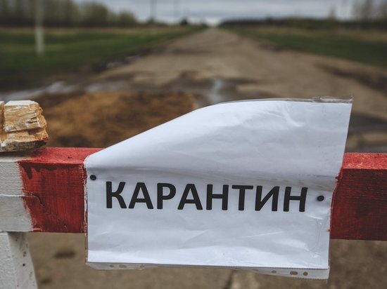 Губернатор снял карантин по бешенству в двух районах Ростовской области
