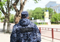 Экипаж Росгвардии, находившийся на маршруте патрулирования в Калаче-на-Дону, получил приметы разыскиваемого правонарушителя