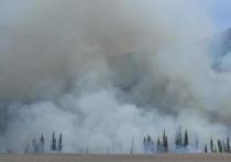 Пожарные тушат в Башкирии 673 гектара леса