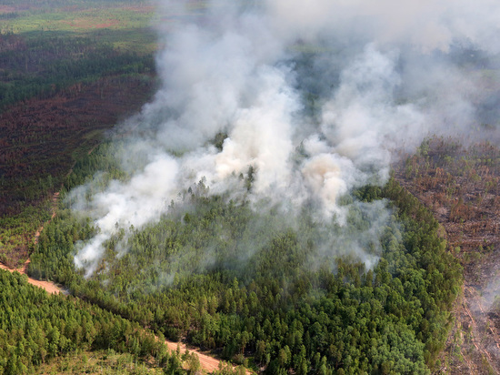 В семи районах Приангарья установлен режим ЧС из-за лесных пожаров