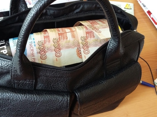 Разница в доходах разводит саратовских кандидатов  в депутаты Госдумы по разным полюсам общества