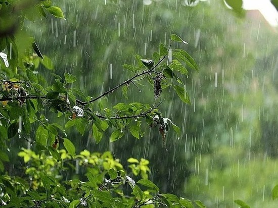В Курской области 7 августа прольются дожди с грозами и градом при температуре +33 градуса