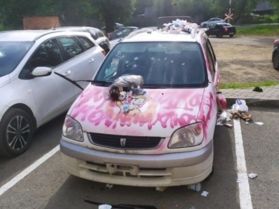 Уголовное дело завели на женщину за покраску автомобиля соседа в розовый цвет в Томске