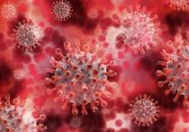На утро 7 августа за все время пандемии в регионе зарегистрировали 53 315 случаев заражения коронавирусом, в их числе 3 903 у детей