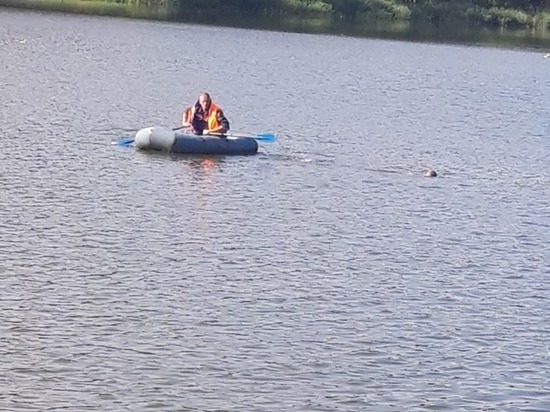 В Пензе достали из воды тело мужчины