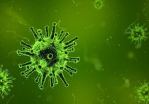 Эксперт ВОЗ Мария Ван Керкхове не исключила, что вскоре новые штаммы коронавируса будут обозначать названиями созвездий, поскольку букв греческого алфавита уже не хватит