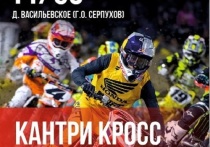 На 11 сентября этого года вблизи деревни васильевское городского округа Серпухов планируется яркое и зрелищное событие мотоциклетного спорта: мотокросс и кантри-кросс.