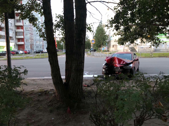 В настоящее время обстоятельства произошедшего устанавливают сотрудники ГАИ