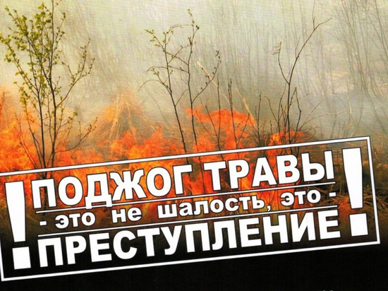 Из-за пала прошлогодней травы четыре семьи в костромской деревне лишились крова