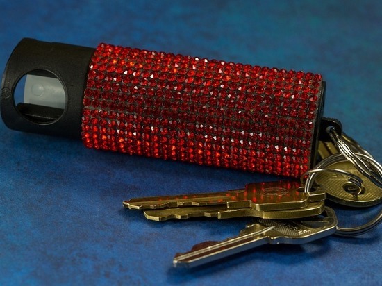 Движение «За безопасность» предложило ограничить в России продажу газовых баллончиков физлицам