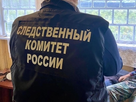 Застольная поножовщина случилась в новгородской деревне