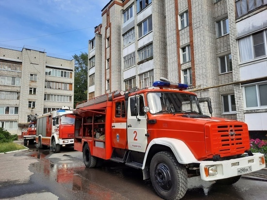 На прошлой неделе в Марий Эл произошло 35 пожаров