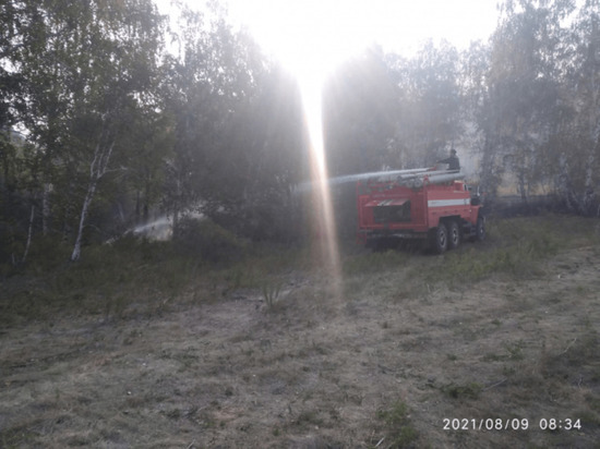 За сутки в Башкирии зарегистрировали 25 лесных пожаров