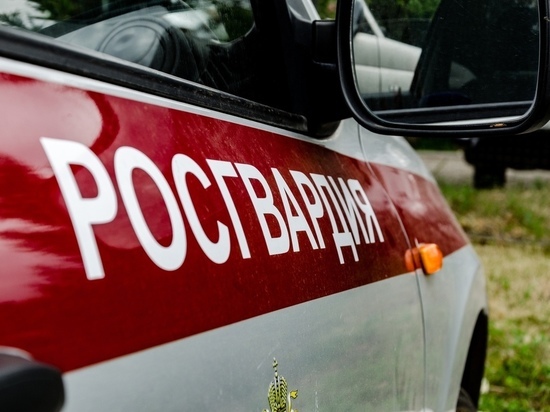В Нижнем Новгороде росгвардейцы задержали мужчину, угрожавшего поджечь сожительницу