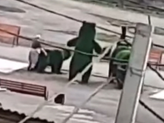Кузбассовец изнасиловал парковую скульптуру медведя
