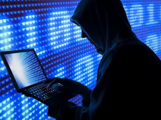 Германия: 86 процентов фирм стали жертвами хакеров