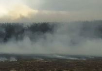 До 713 выросло число населённых пунктов в Приангарье, накрытых дымовой завесой