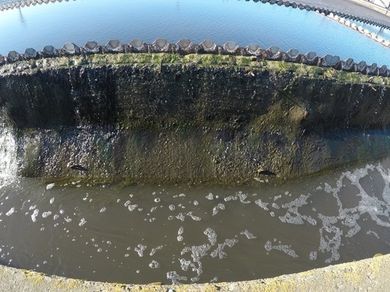 Нижегородский водоканал признан виновным в нарушении правил водопользования