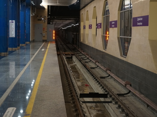 Метрополитен Петербурга не намерен закрывать заросшую мхом и плесенью станцию «Дунайская»