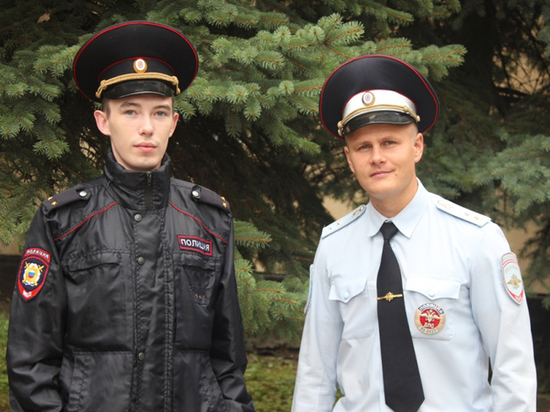 Полицейские в деревне Боровенке усмиряли пожар ведрами и лопатами