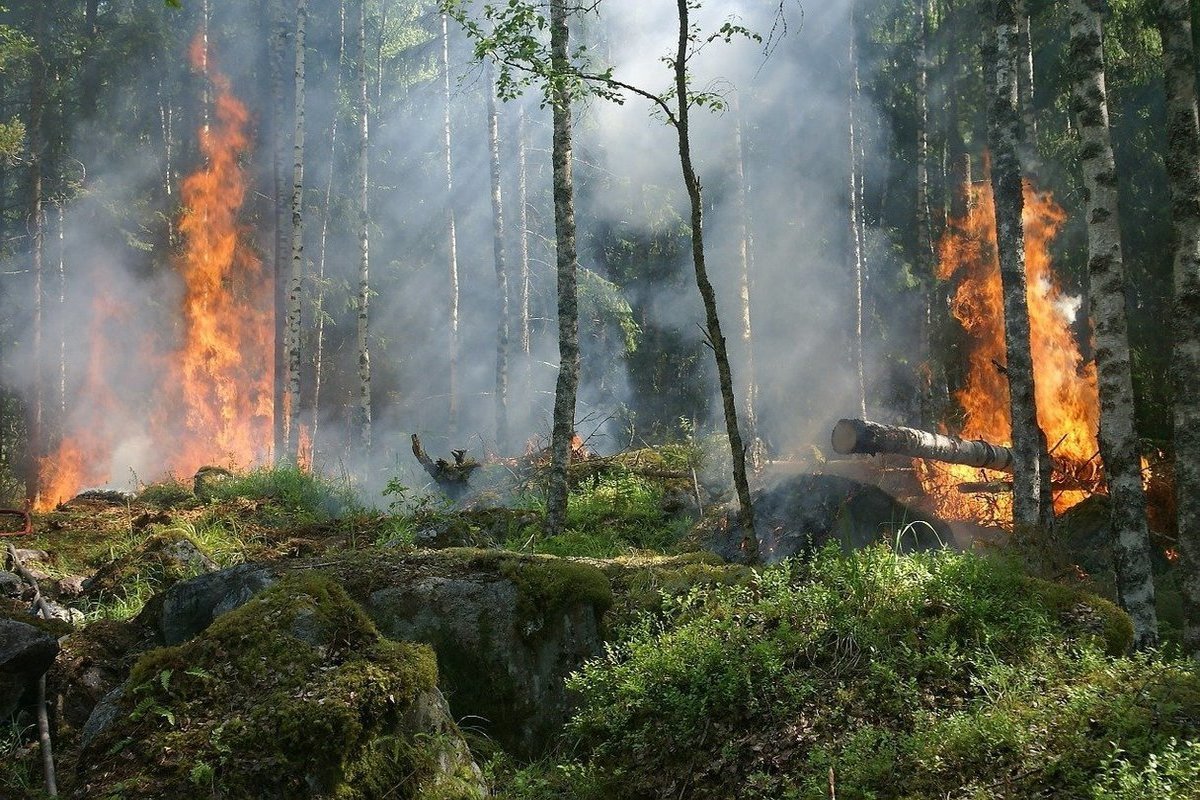 In Yakutia, about 40 people were evacuated from the ...