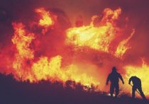 В Башкирии появились шесть новых очагов лесных пожаров