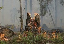 Российская туристка, которая отдохнула в Турции на фоне бушующих там лесных пожаров, укорила некоторых соотечественников в неподобающем поведении