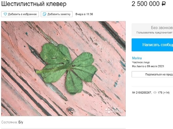 Белгородка выставила на продажу шестилистный клевер за 2,5 млн рублей