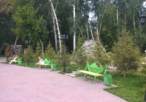 В Дзержинском районе Новосибирска парке «Березовая роща»  заметили гадюку