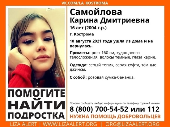 Костромские волонтеры из отряда «Лиза Алерт» просят содействия в поисках 16-летней девушки