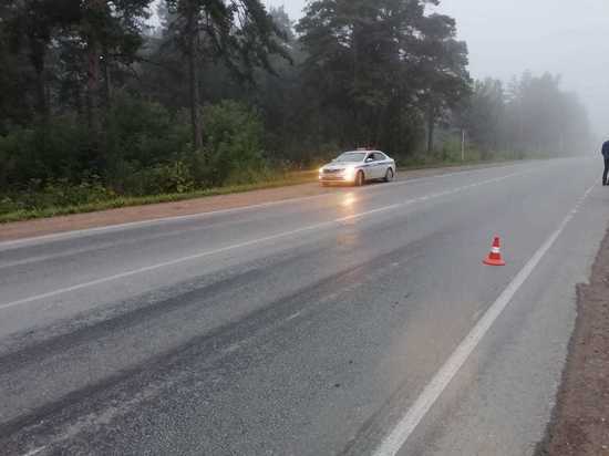 Неизвестный водитель насмерть сбил велосипедиста и скрылся с места ДТП в Новосибирске
