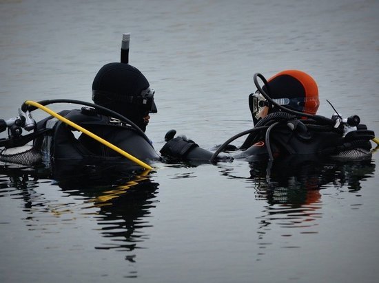 В Сети появились первые кадры с места крушения вертолета на Камчатке
