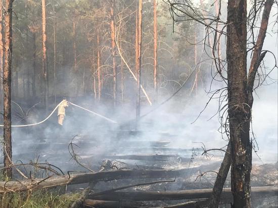 В Волгоградской области продолжают тушить природный пожар возле хутора
