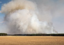 В Башкирии действуют 17 лесных пожаров