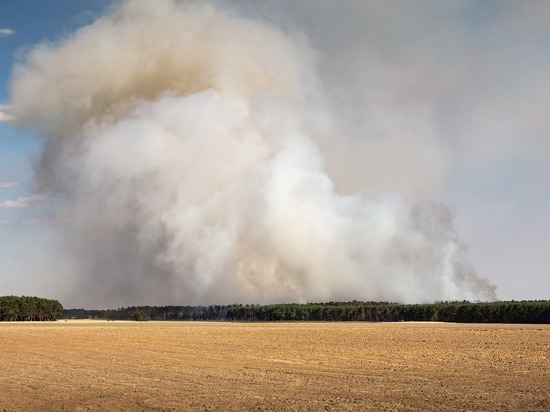 В Башкирии действуют 17 лесных пожаров