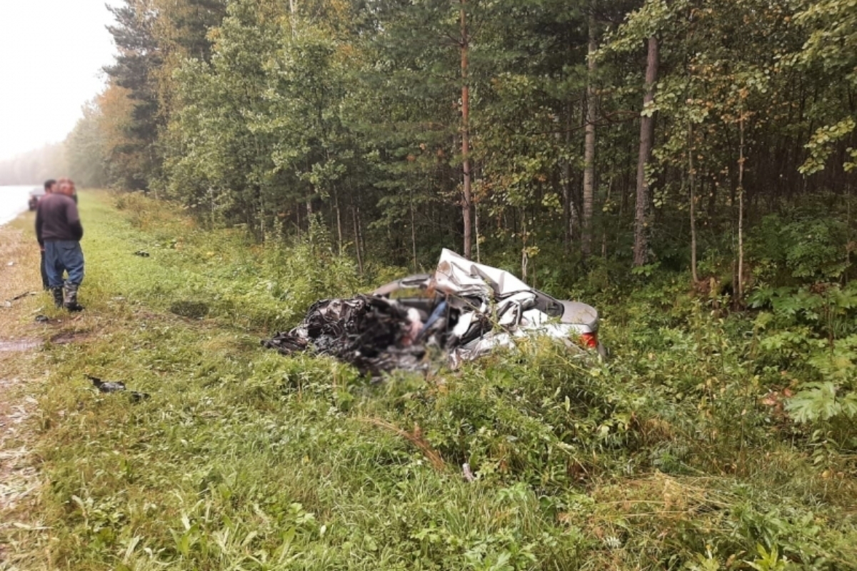 В Томской области 32-летний водитель погиб, въехав под грузовик - МК Томск