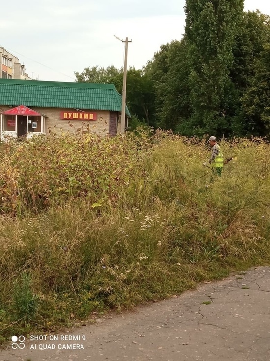 После жалоб мичуринцев в соцсетях скосили сорняки на улице 7 Ноября