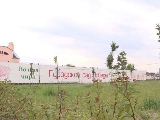 В брянском саду Победы прижились все деревья