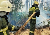 Спасатели Марий Эл тушат лесной пожар в Мордовии
