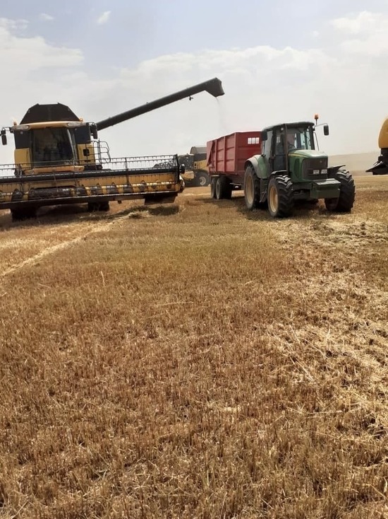 Псковская область заняла второе место по валовому сбору зерна в СЗФО