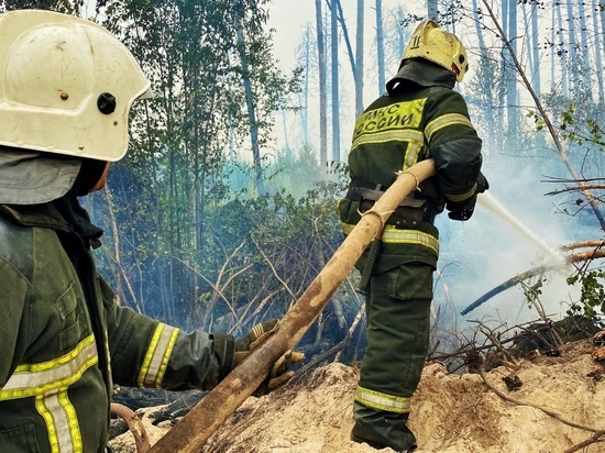 Спасатели Марий Эл тушат лесной пожар в Мордовии