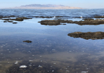 В Великом Соленом озере (Great Salt Lake) в штате Юта, являющемся самым большим природным озером к западу от реки Миссисипи, уровень воды в июле достиг исторического минимума