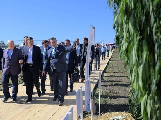 Свердловский губернатор решил выращивать коноплю, ученые поддержали