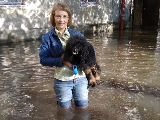 «Уровень воды выше колена!»: новгородка благодарит мэрию за потоп во дворе