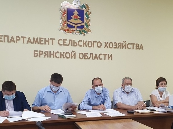 11 жителей Брянщины выиграли гранты на агростартапы