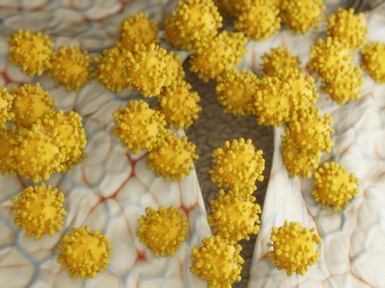  Мальчика из-за серьезного поражения легких из Карелии доставили в Санкт-Петербург