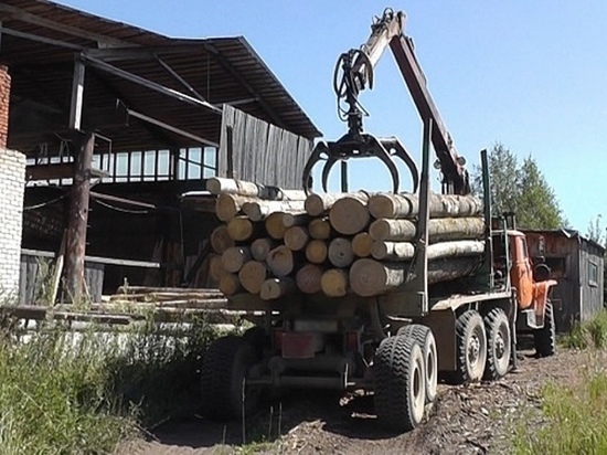 В Ивановской области задержали банду браконьеров