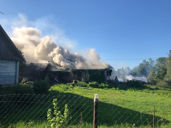Власти района Карелии объяснили, как удалось избежать серьезных пожаров