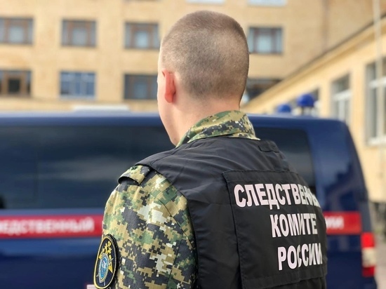 Следователей заинтересовало найденное на пепелище в Городцах обугленное тело