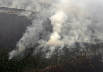 Нынешние лесные пожары в Сибири и Якутии иначе как Апокалипсисом не называют